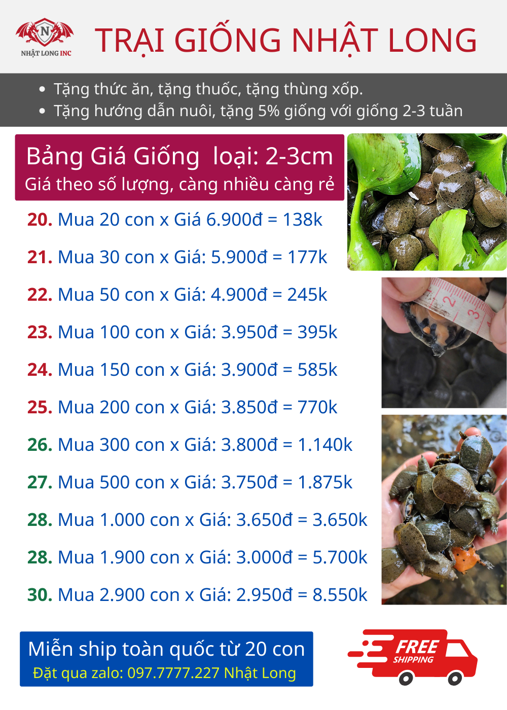 Bảng Giá Ba Ba Giống Size 2-3cm